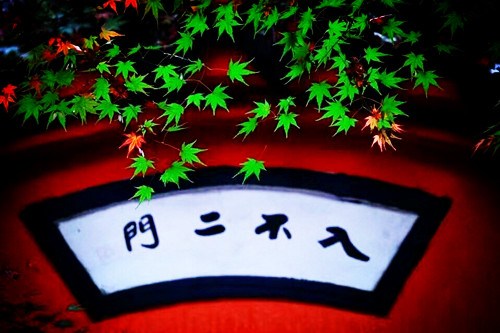 念经时的妄想和昏沉，该如何去对治