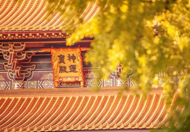 若明一切境界都有前因，则自然能够放下
