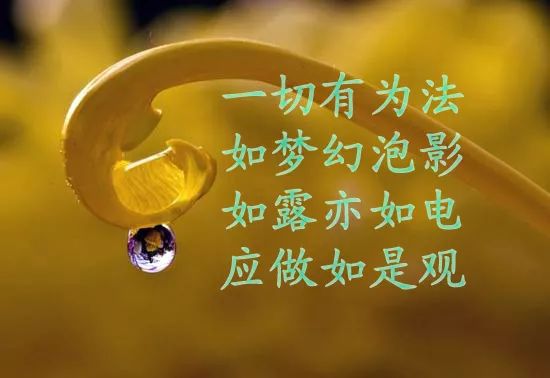 为什么一切法没有真实相