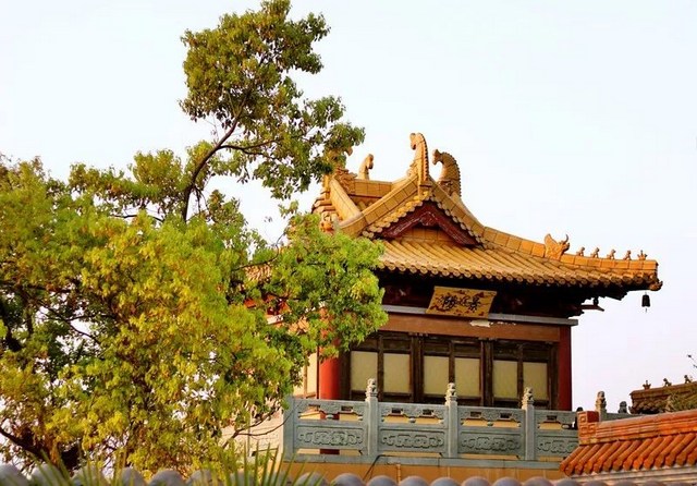 圣道门与净土门的判教