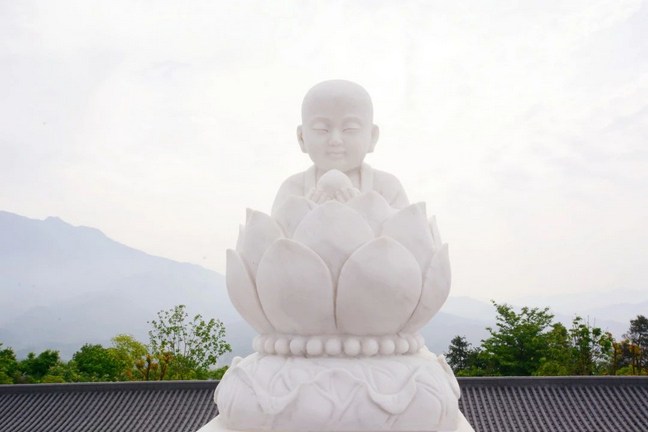 出家人应该如何学戒