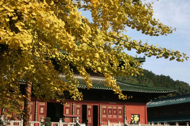 修空观的人要空掉什么