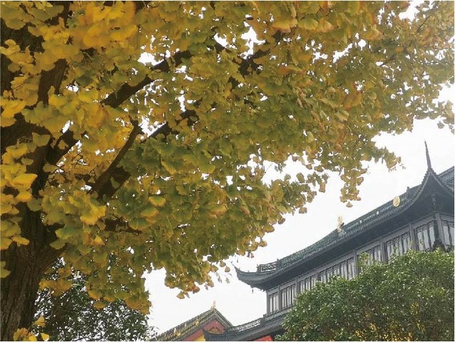 一念相应一念佛，一日相应一日佛