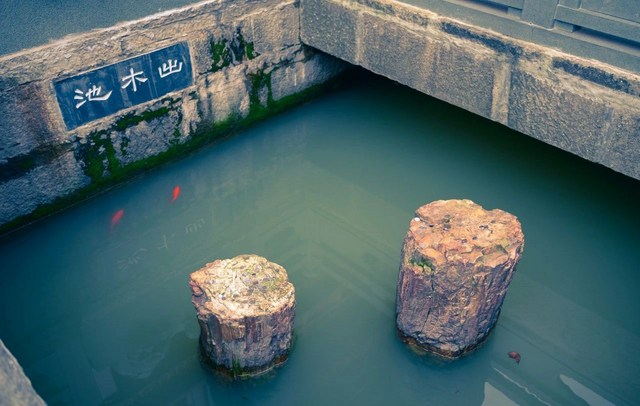 慧远大师感得山神运木建殿