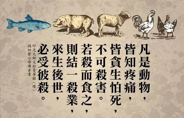 杀生之业这么可怕，还可不戒吗