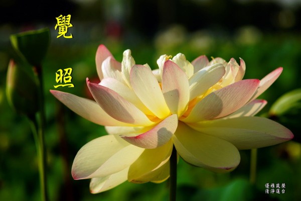 至今未受三皈五戒，这样算盲修瞎练吗