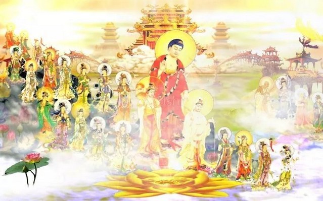 阿弥陀佛这个愿发得太及时太重要了