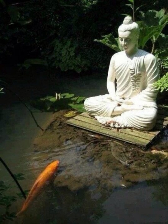 婚姻美满之道的三个步骤