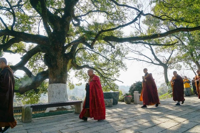 能同时依止一净一禅两位善士吗