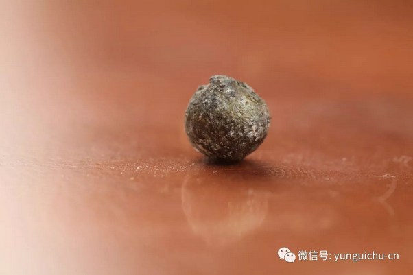 悲心无尽 行愿弥坚——一诚长老珍贵舍利撷影