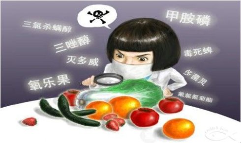 对老鼠、麻雀、昆虫要有布施心