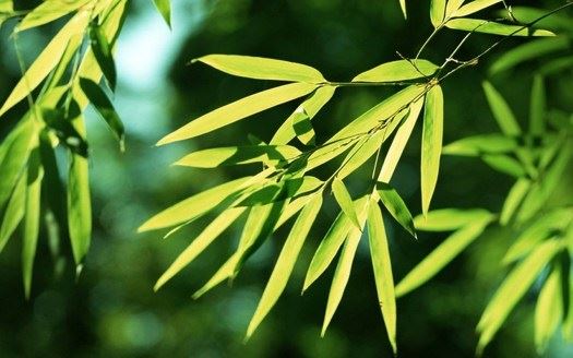 方海权：众生苦难极多，应如何免难