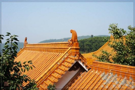 宏圆法师：用慈悲智慧呵护每一个善的种子