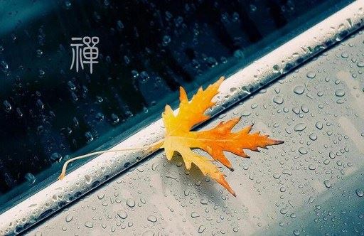 《心经》里的这句话是为我们提供一个公式去观察我们的无明
