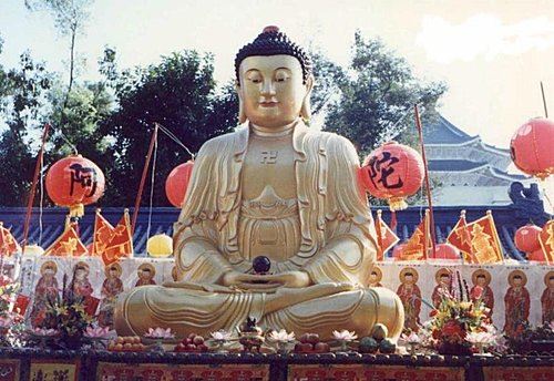 净土法门法师：身上的肿瘤是不是众生？