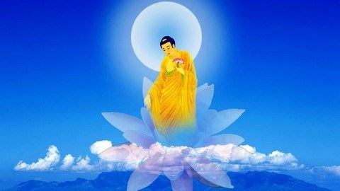 杰克·康菲尔德：踏上心灵幽静 第1章 我是否好好爱过 迫切的课题