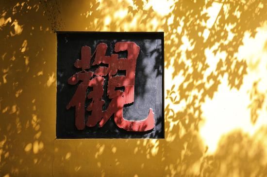 困在「网」中央