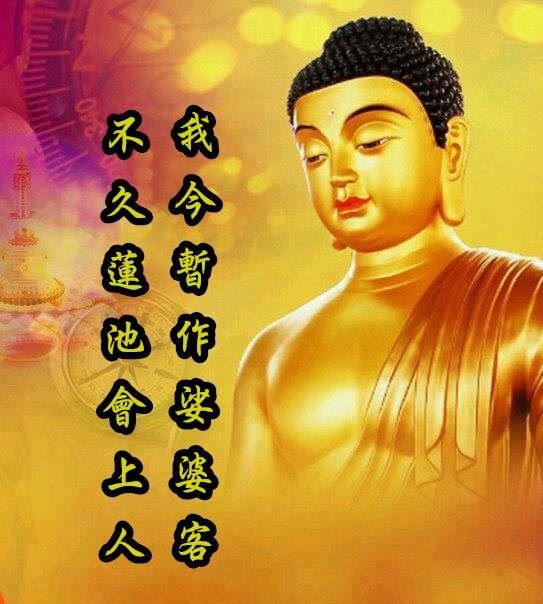 学诚法师：家人对于人间佛教的理念怎么做，才可避免不被世俗化