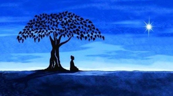 道坚法师：答居士问觉之南北传差别及何为觉