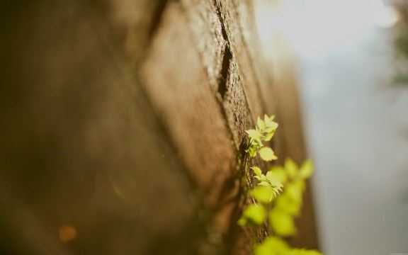 惟贤法师：如何在日常修行的过程中磨掉自己的习气？