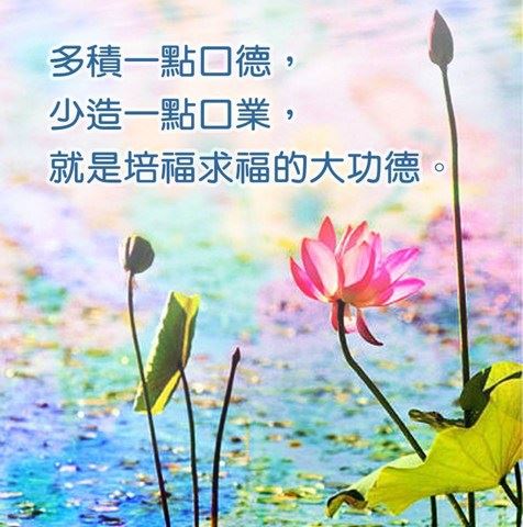 界定法师：漫说《杂阿含》（卷四十七）～H 1251经：本经叙述佛陀赞叹精进的比丘，而不喜懈怠的比丘。