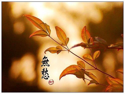 净土法门法师：念这句佛号原理是什么?原理是自他不二