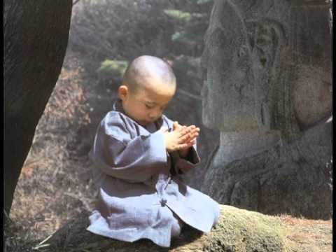仁焕法师：保命保健康