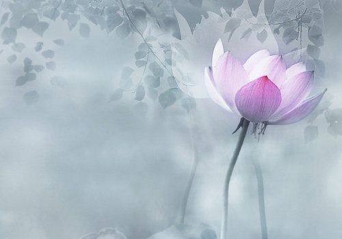 陈士东居士：密宗近代东传史的回顾与展望