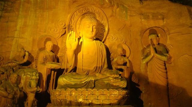 高明道老师：新年树木菩萨行