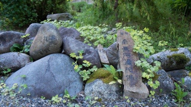 海涛法师：一念善心，善神跟你，一念恶心，魔鬼找