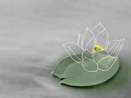 圣旭法师：念佛七法会 结语