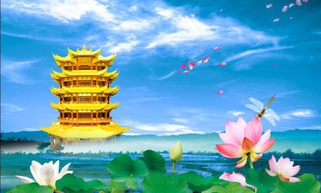 钟茂森：搞养殖的，你也有一分杀业在里面