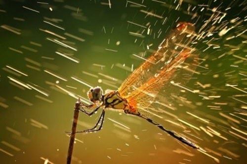 传喜法师：向上走自有湛蓝之虚空——传喜法师金门岛开示