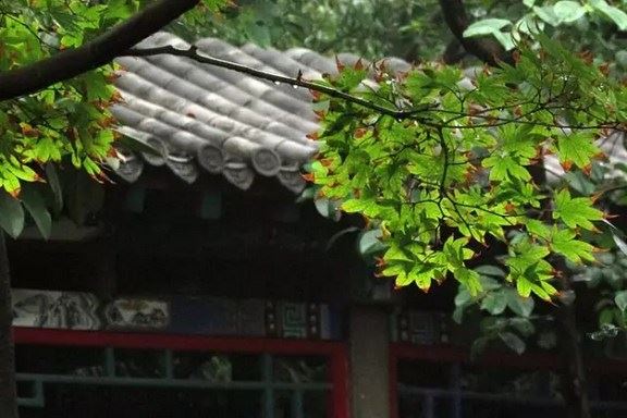 印光大师