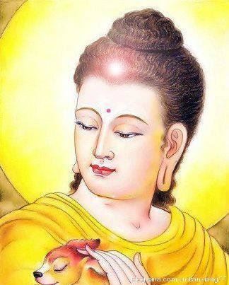 仁焕法师：交命做极乐人