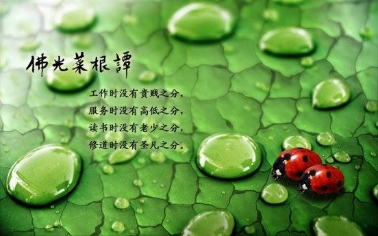 布施，只会让你越来越富