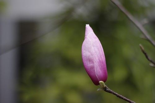 嘎玛仁波切：感念父母的恩情、赡养父母，这是人格的最低标准了