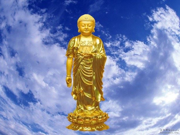 念观世音菩萨会往生哪个佛国净土？