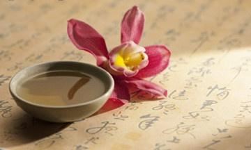 信愿法师：唯一向信阿弥陀佛本愿，不顾我身之善恶，思决定往生之念佛，谓之他力念佛（一）