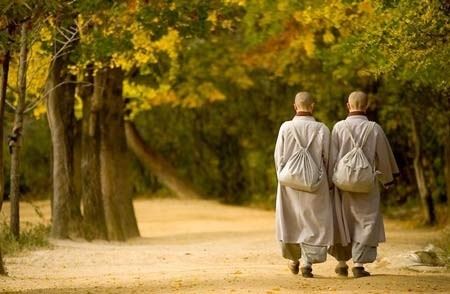 净土法门法师：真诚、恭敬心都要从小培养起