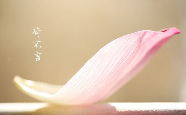 传喜法师：出家人,我们的人天福田