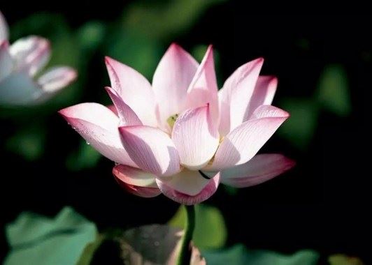 方海权：舍弃一切掠夺，共修无上菩提