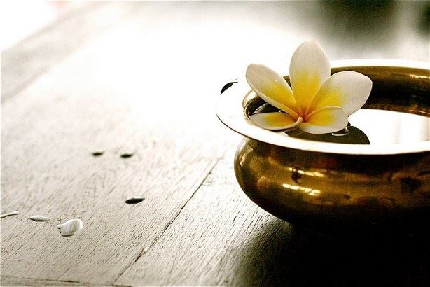 嘎玛仁波切：既然万法皆空为何还会有因果