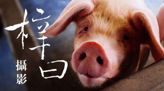 我的最新发现：邪YIN者家庭的一些现象