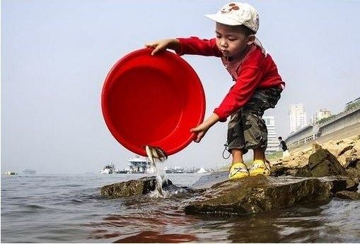 净土法门法师法语：自他一体，生佛不二