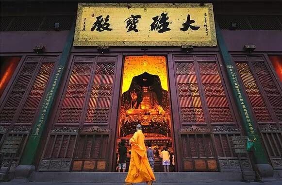 被杀害的动物们是如何报复人类的？