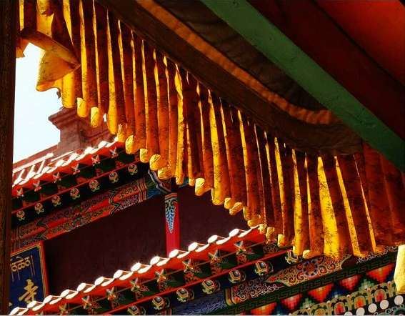 净界法师：果报种类之等流果：造作等流果