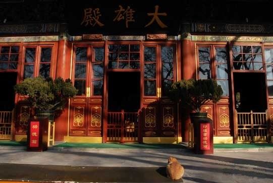 求工作疏　感恩佛菩萨的强大加持力，让我找到一份根本不敢想的好工作