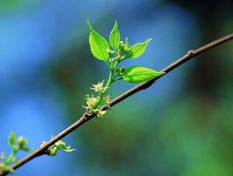 净土法门法师：如果一天念十万声佛号，还是胡思乱想、贪瞋痴慢，既无功德也无福德！