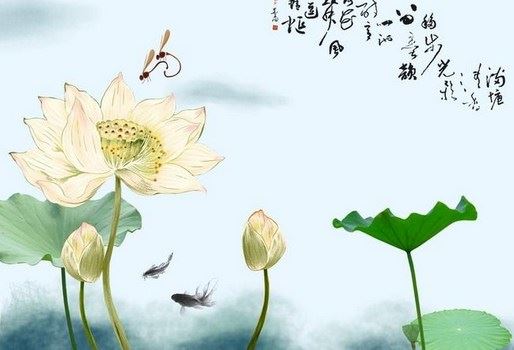 净慧长老：做命运的主人 用积极态度不断的修正自己